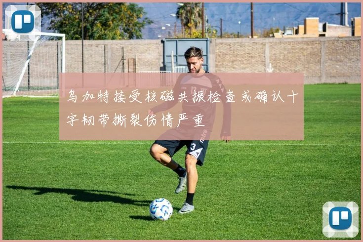 乌加特接受核磁共振检查或确认十字韧带撕裂伤情严重