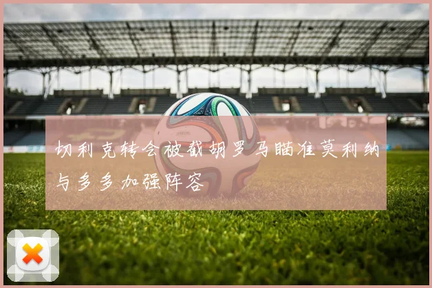 切利克转会被截胡罗马瞄准莫利纳与多多加强阵容